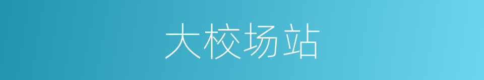 大校场站的同义词