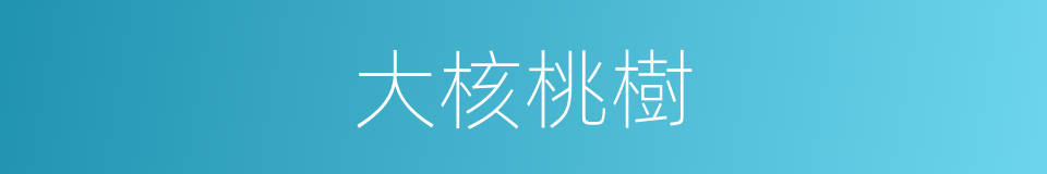 大核桃樹的同義詞