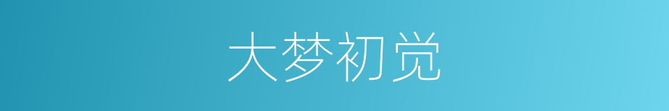 大梦初觉的意思