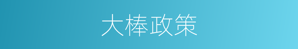 大棒政策的意思
