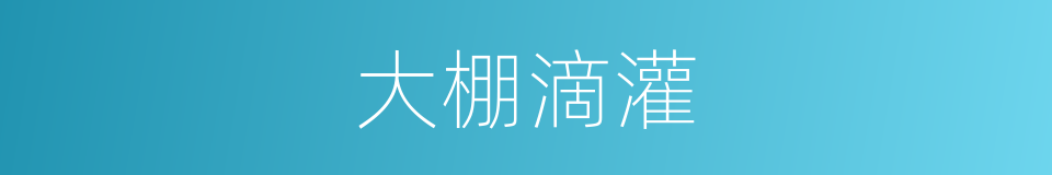 大棚滴灌的同义词