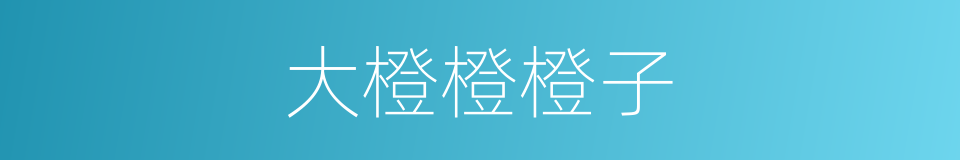 大橙橙橙子的同义词