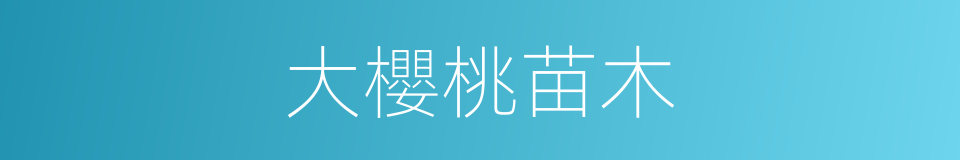 大櫻桃苗木的同義詞