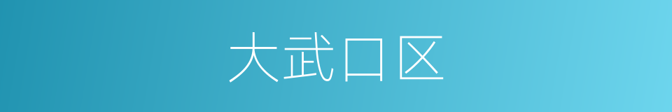 大武口区的同义词