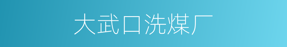 大武口洗煤厂的同义词