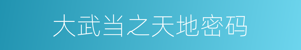 大武当之天地密码的同义词