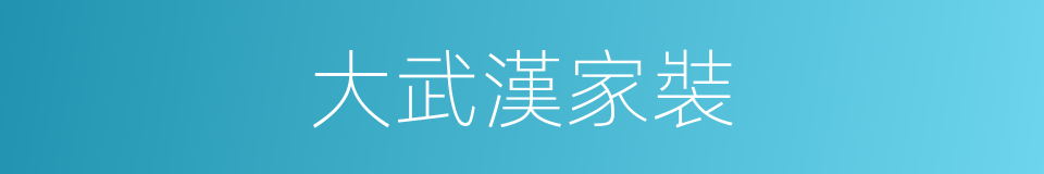 大武漢家裝的同義詞