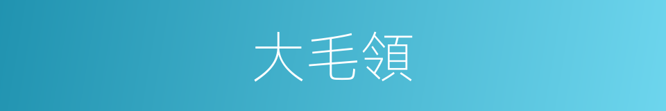 大毛領的同義詞