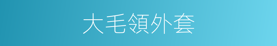 大毛領外套的同義詞