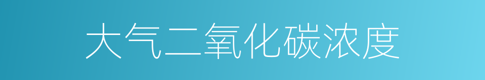 大气二氧化碳浓度的同义词