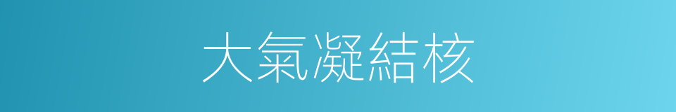 大氣凝結核的同義詞