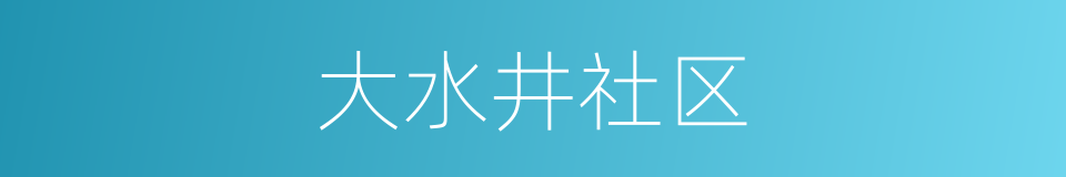 大水井社区的同义词