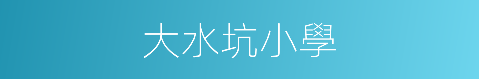 大水坑小學的同義詞