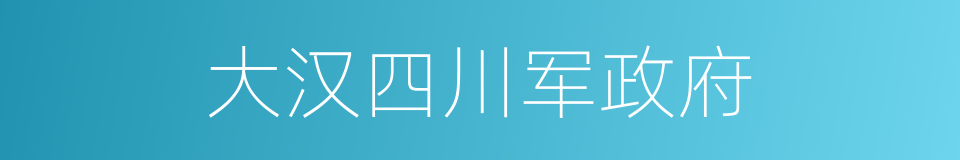 大汉四川军政府的同义词