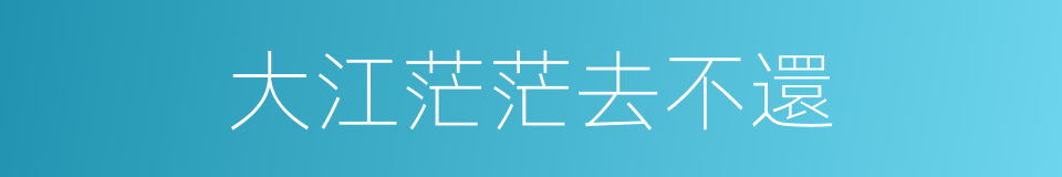 大江茫茫去不還的同義詞