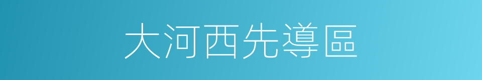 大河西先導區的同義詞
