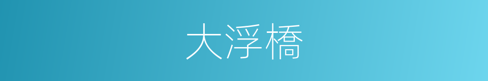 大浮橋的同義詞