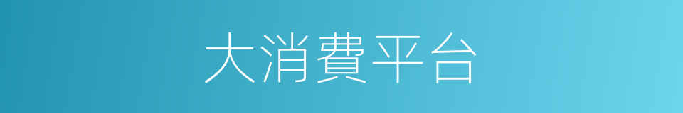 大消費平台的同義詞