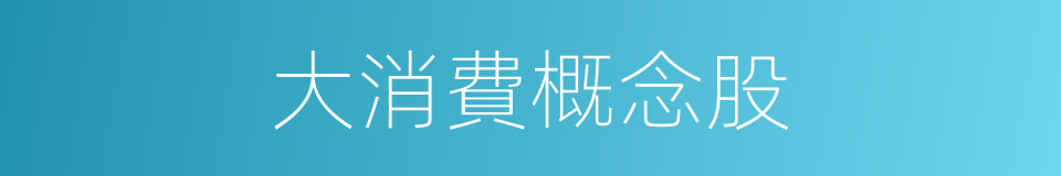 大消費概念股的同義詞