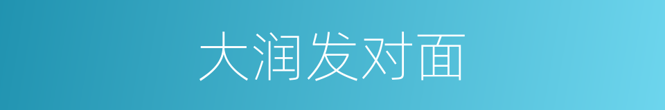 大润发对面的同义词