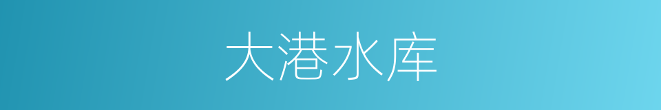 大港水库的同义词