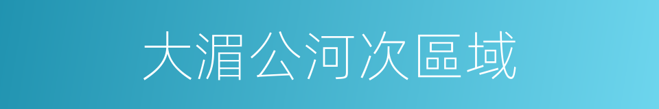 大湄公河次區域的同義詞