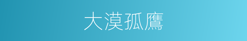 大漠孤鷹的同義詞