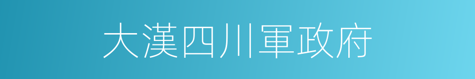 大漢四川軍政府的同義詞