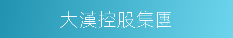 大漢控股集團的同義詞