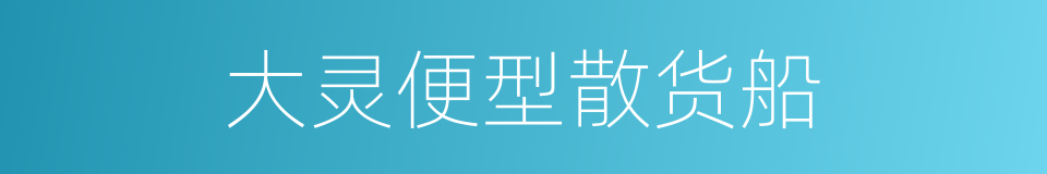 大灵便型散货船的同义词