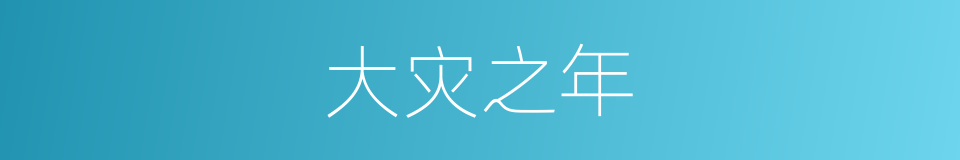 大灾之年的同义词