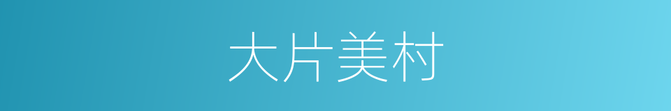大片美村的同义词