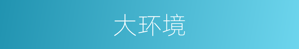 大环境的意思