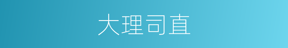 大理司直的同义词