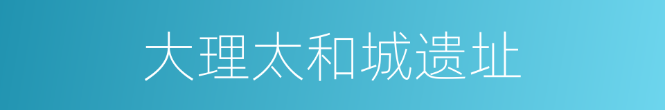 大理太和城遗址的同义词