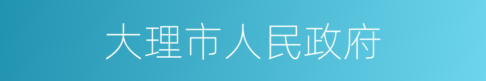 大理市人民政府的同义词