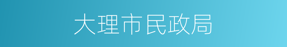 大理市民政局的同义词