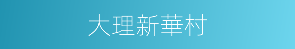 大理新華村的同義詞