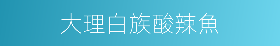 大理白族酸辣魚的同義詞