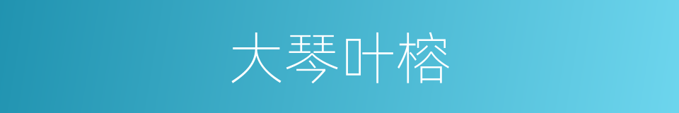 大琴叶榕的同义词