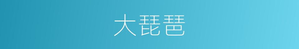 大琵琶的同义词