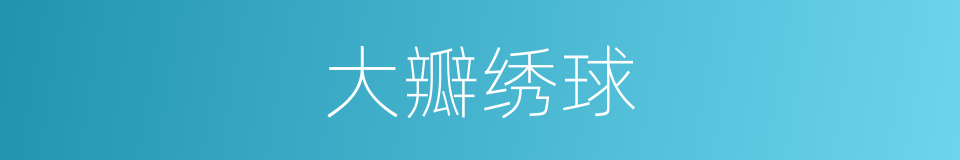 大瓣绣球的同义词
