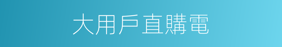 大用戶直購電的同義詞