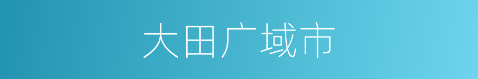 大田广域市的同义词