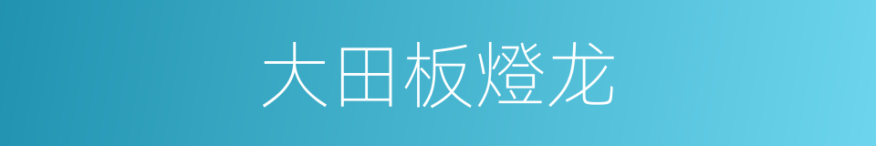 大田板燈龙的同義詞