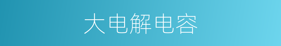 大电解电容的同义词