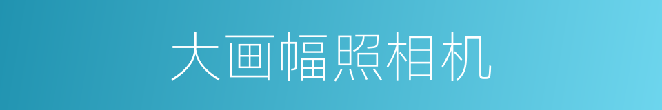 大画幅照相机的同义词