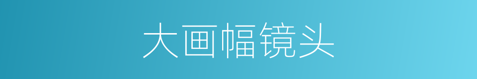 大画幅镜头的同义词