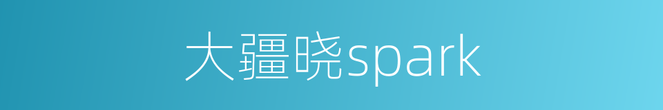大疆晓spark的同义词