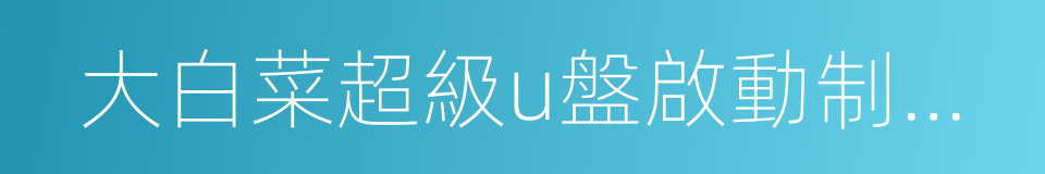 大白菜超級u盤啟動制作工具的同義詞